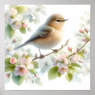 Frühlings-Vogel-Kirschblüten-Aquarell Poster