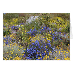 Frühlings-Wildblumen Karte