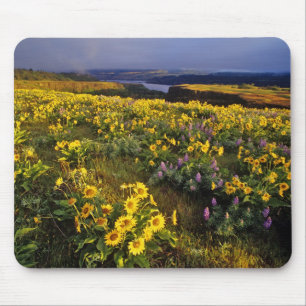 Frühlingsangebote im Überfluss der Wildblumen beim Mousepad