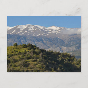 Frühlingsansicht Postkarte