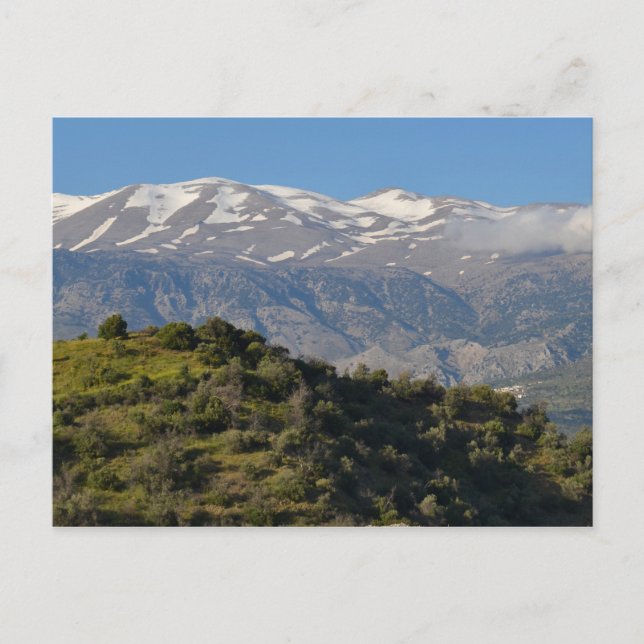 Frühlingsansicht Postkarte (Vorderseite)