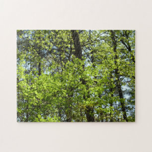 Frühlingsapfel Verlasse Natur