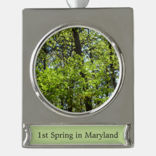 Frühlingsapfel Verlasse Natur Banner-Ornament Silber