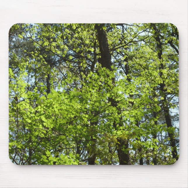 Frühlingsapfel Verlasse Natur Mousepad (Vorne)