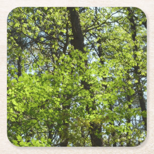 Frühlingsapfel Verlasse Natur Rechteckiger Pappuntersetzer