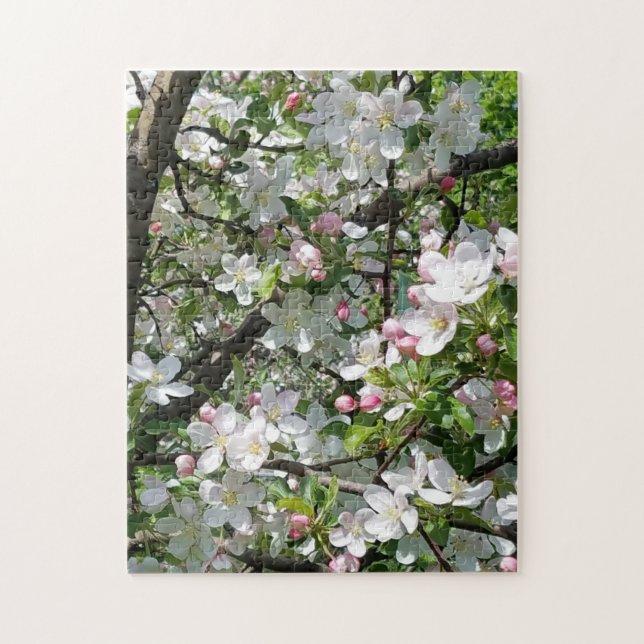 Frühlingsapfelblüten (Vertikal)