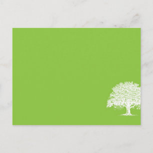 Frühlingsbaum Grün/Weiße Hochzeitsstimmung Platzka Postkarte