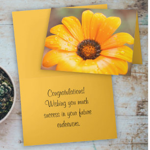 Frühlingsblitz Afrikanische Gänseblume Nahaufnahme Karte