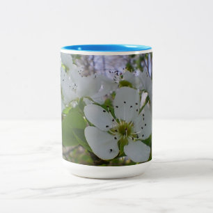 Frühlingsblühen Zweifarbige Tasse