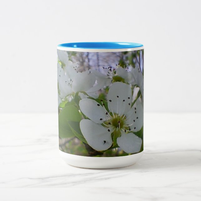 Frühlingsblühen Zweifarbige Tasse (Mittel)