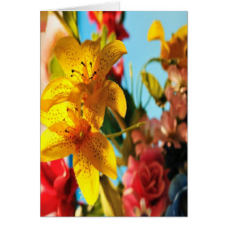 Frühlingsblume