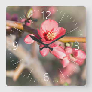 FrühlingsBlume Quadratische Wanduhr