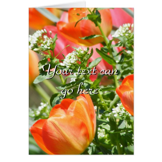 Frühlingsblumen (Vorne)