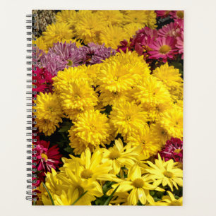 Frühlingsblumen 2024 planer