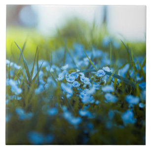 Frühlingsblumen auf dem Feld Fliese