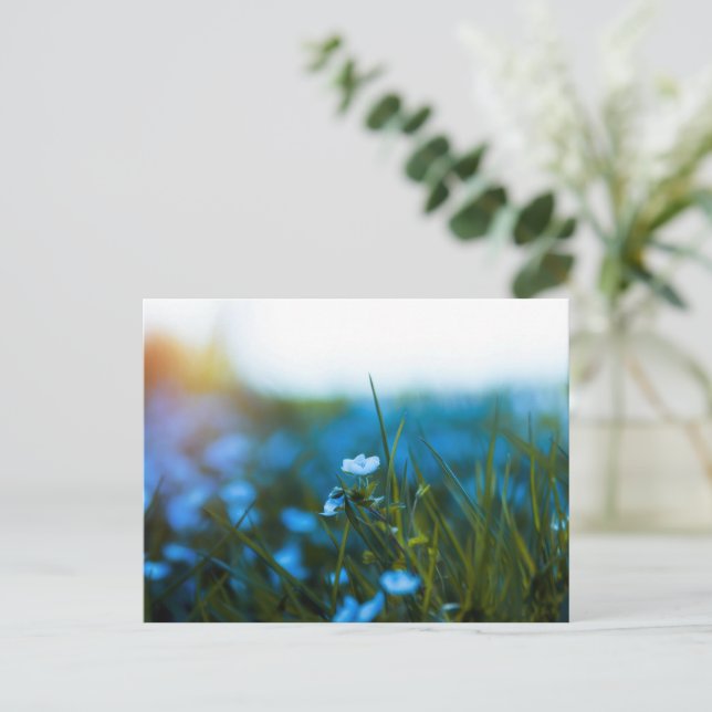 Frühlingsblumen auf dem Feld Postkarte (Stehend Vorderseite)