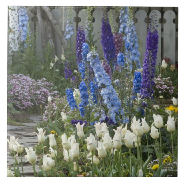 Frühlingsblumen auf einem Gartenweg, Georgien Fliese (Vorderseite)