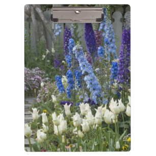 Frühlingsblumen auf einem Gartenweg, Georgien Klemmbrett