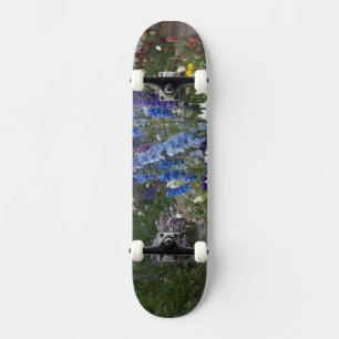 Frühlingsblumen auf einem Gartenweg, Georgien Skateboard