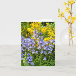 Frühlingsblumen Blauglocken und Goldlack Foto Karte