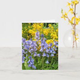 Frühlingsblumen Bluebells und Wandblumen Foto Karte