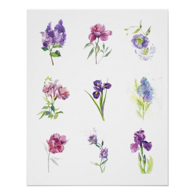 Frühlingsblumen Botanische Aquarell-Sammlung Poster (Vorderseite)