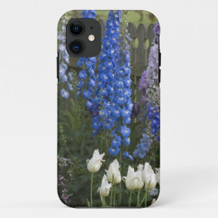Frühlingsblumen entlang eines Gartenwegs, Georgia title_seo2