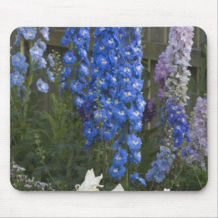 Frühlingsblumen entlang eines Gartenwegs, Georgia Mousepad