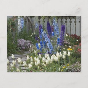 Frühlingsblumen entlang eines Gartenwegs, Georgia Postkarte