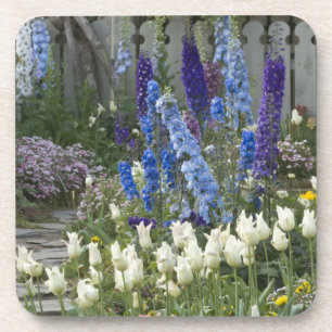 Frühlingsblumen entlang eines Gartenwegs, Georgia Untersetzer