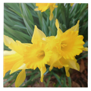 Frühlingsblumen Fliese