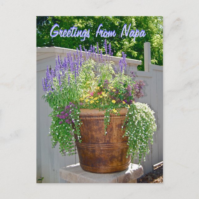 Frühlingsblumen Grüße von Napa Postkarte (Vorderseite)