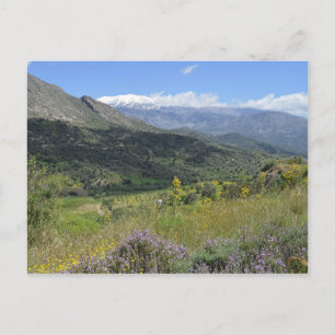 Frühlingsblumen in der kretischen Landschaft Postkarte