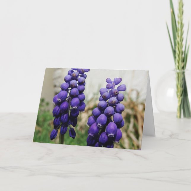 Frühlingsblumen Karte (Vorderseite)