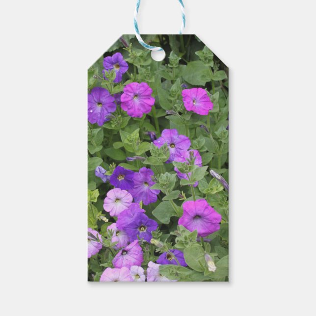 Frühlingsblumen Lila Garten Petunia Foto Geschenkanhänger (Vorderseite)