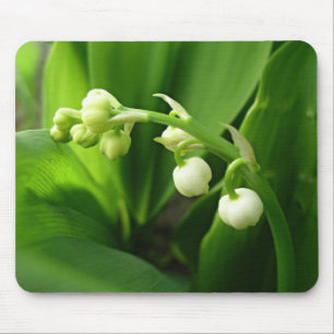 Frühlingsblumen - Lilie des Tales Mousepad