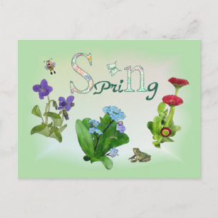Frühlingsblumen mit Frosch Postkarte