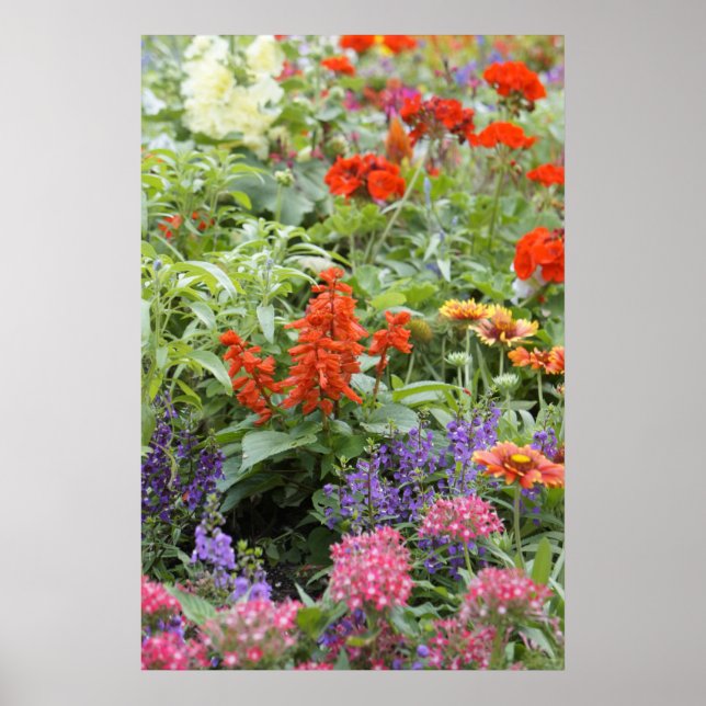 Frühlingsblumen Poster (Vorne)