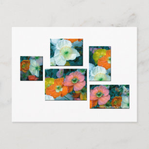 Frühlingsblumen Postkarte