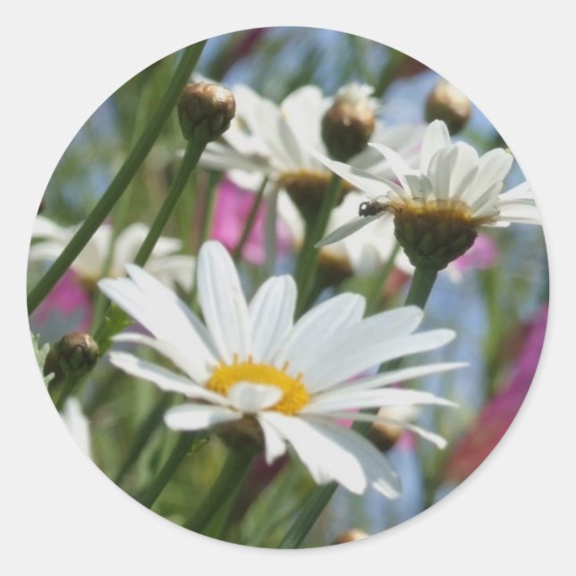 Frühlingsblumen Sticker (Vorderseite)