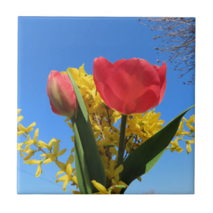 Frühlingsblumen, Tulpen, farbig + Blume, blau Fliese