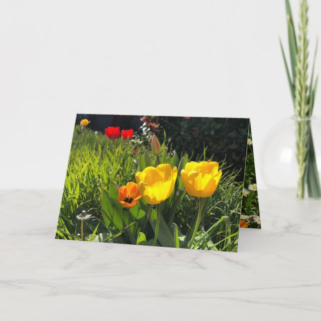 Frühlingsblumen Tulpen Ostergelbe Orange Dankeskarte (Vorderseite)