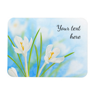 Frühlingsblumen (weißer Krokus) Magnet