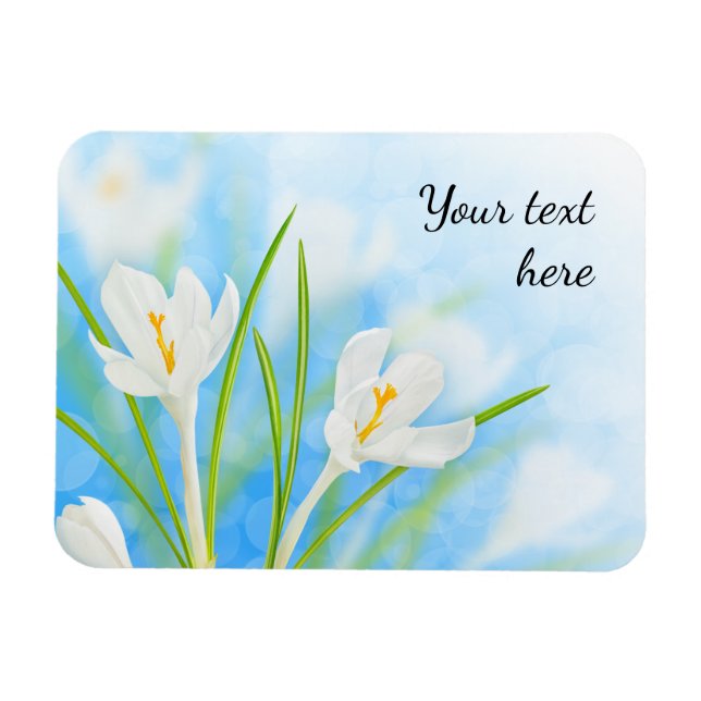 Frühlingsblumen (weißer Krokus) Magnet (Horizontal)