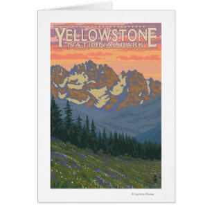 Frühlingsblumen - Yellowstone Nationalpark