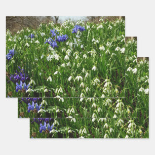 Frühlingsblumenlandschaft am Hang Geschenkpapier Set