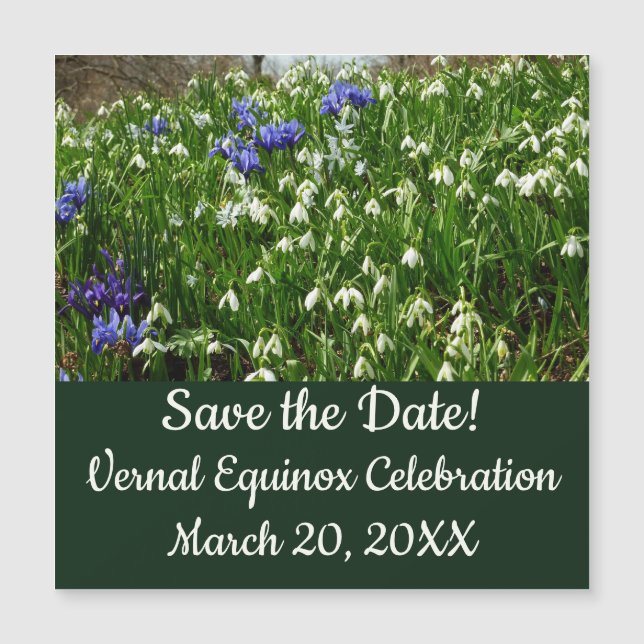 Frühlingsblumenlandschaft am Hang Magnetkarte (Vorderseite)
