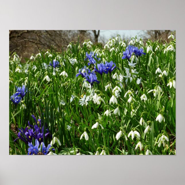 Frühlingsblumenlandschaft am Hang Poster (Vorne)