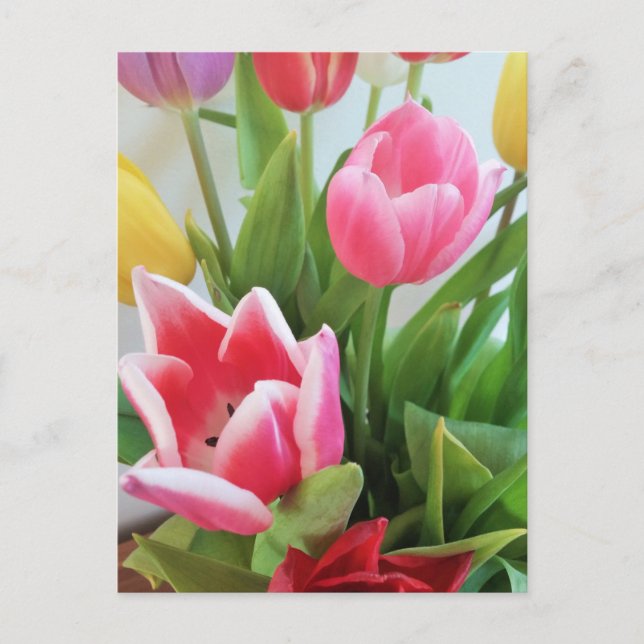 Frühlingsblüte Blume Bouquet Tulips, Flora, Natur Postkarte (Vorderseite)