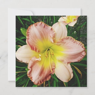 Frühlingsblüte Einladung